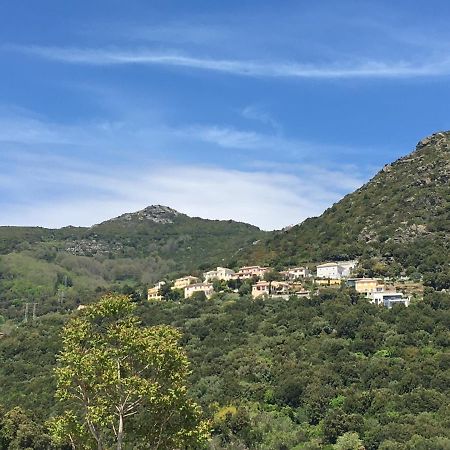 בסטיה Charmant T2 Hauteurs De Bastia מראה חיצוני תמונה
